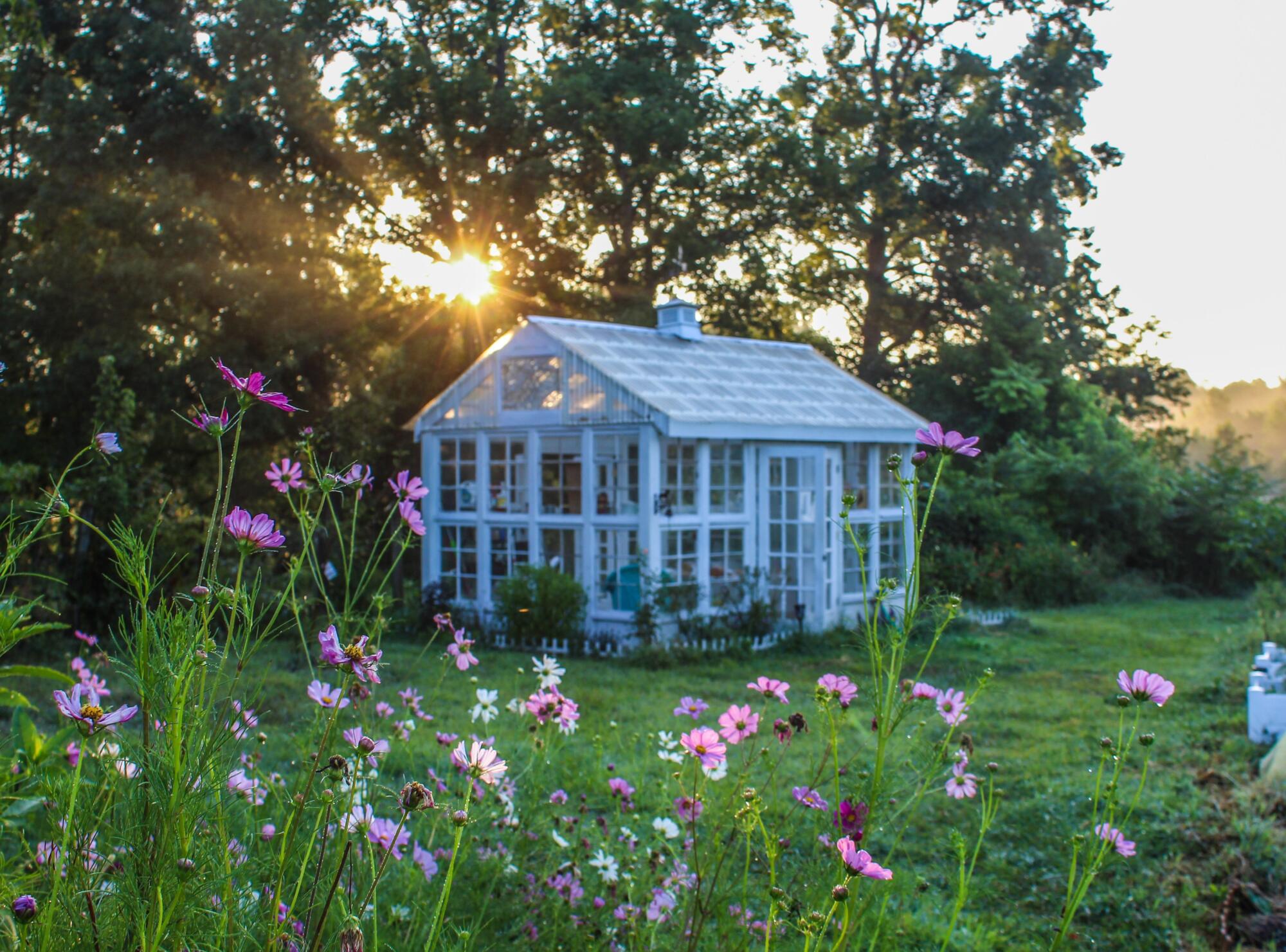 A garden shed with flowers, benefits of having a wooden greenhouse in your garden.