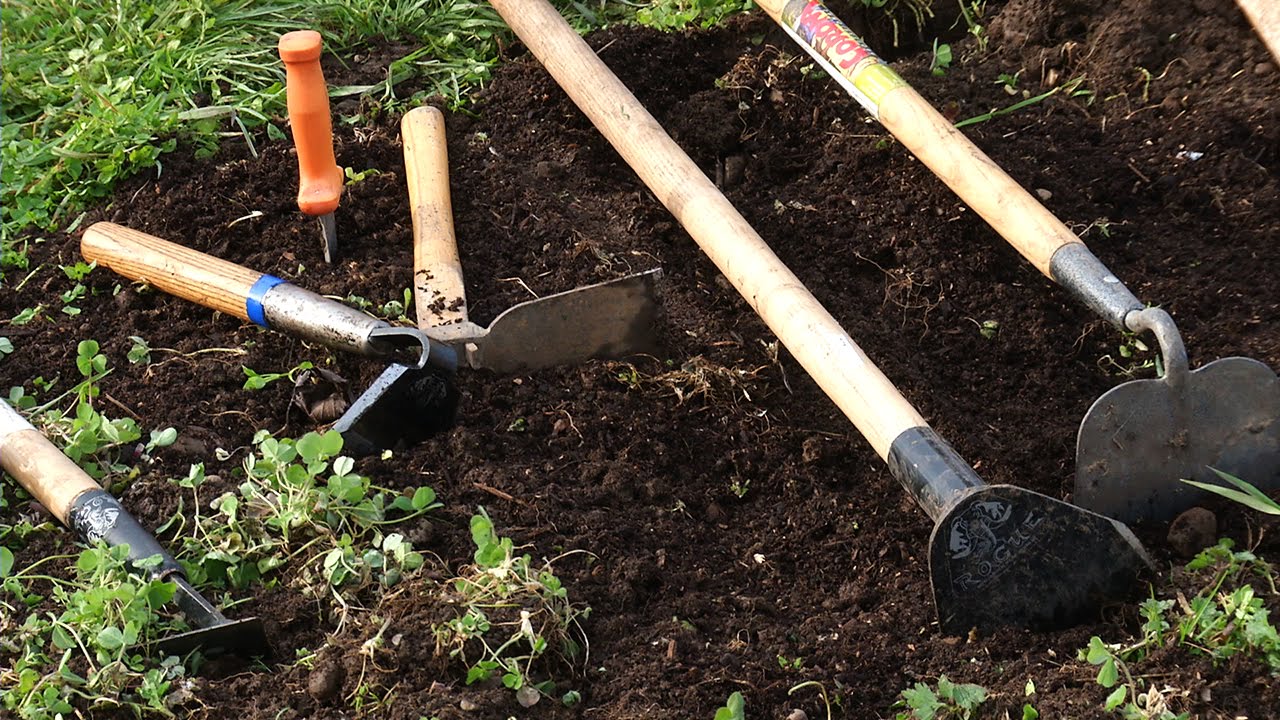 A group of vegetable gardening tools laying in the dirt.