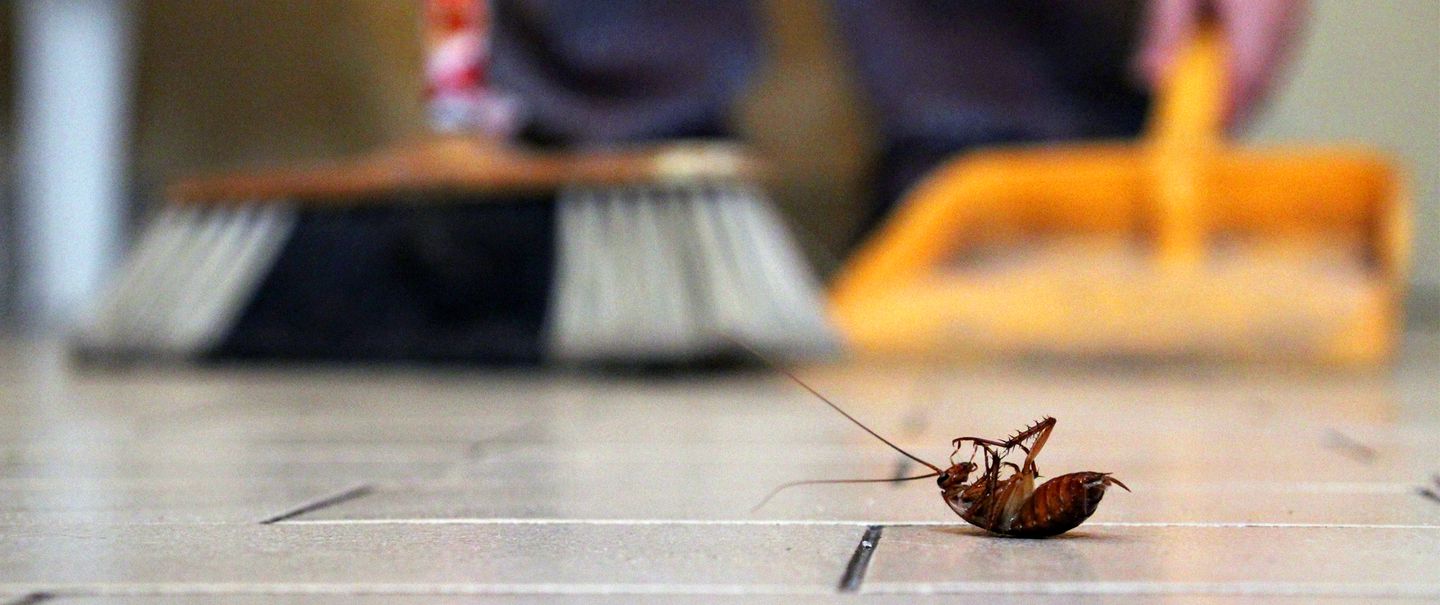A person is sweeping a floor with a cockroach, highlighting the emotional benefits of removing pests.