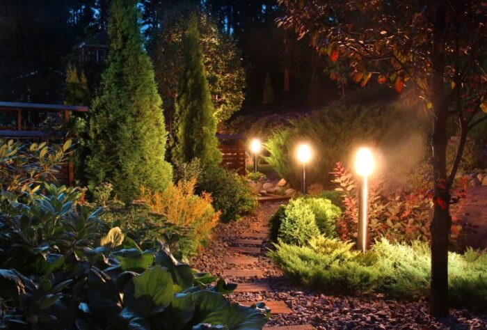 A garden with outdoor lighting illuminated at night.