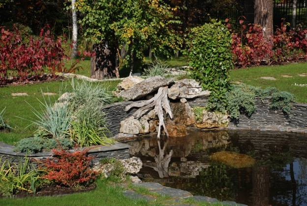 An outdoor space featuring a pond in the middle of a garden.