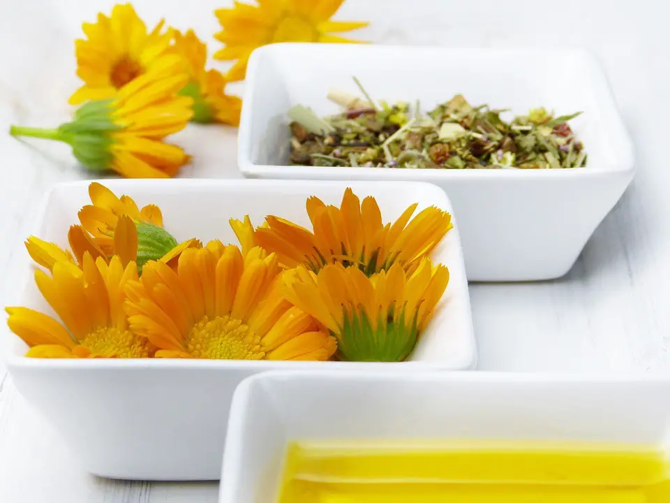 Chamomile and calendula essential oils, made from plants you can maintain indoors.