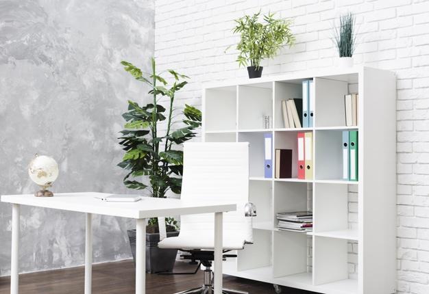 A white office with a plant and bookshelf, featuring house plants for decoration.