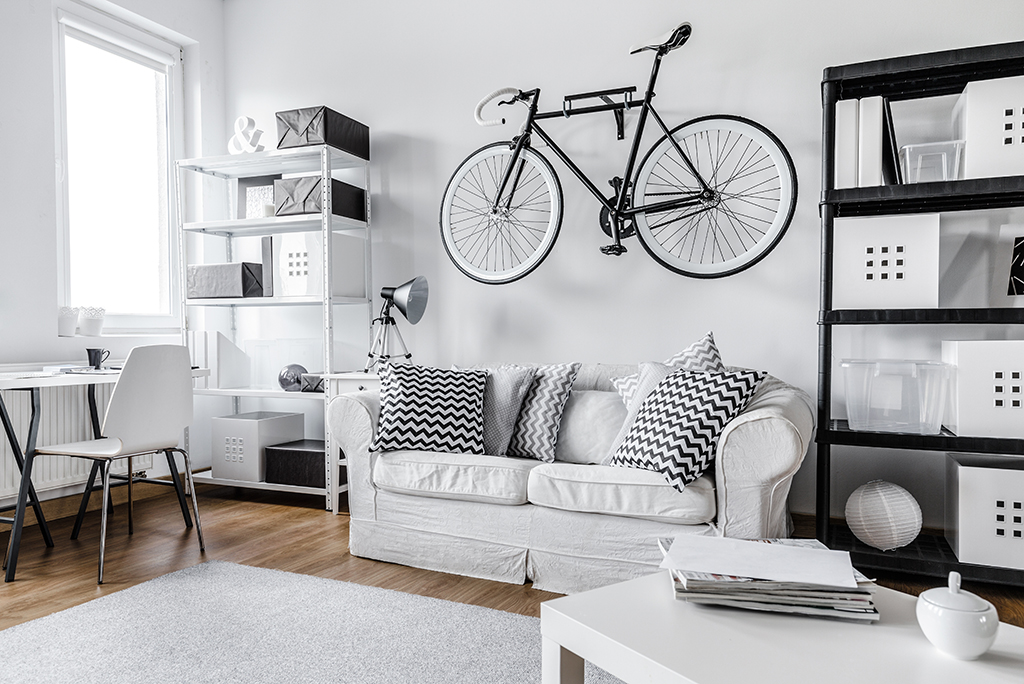 A small apartment with a black and white living room featuring a bicycle on the wall.