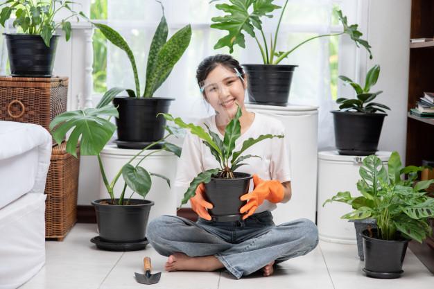 Asian woman displaying house plants.