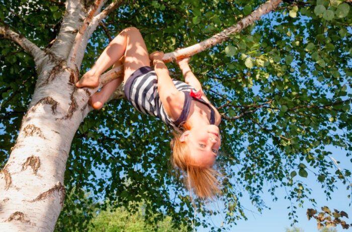 A girl is hanging upside down from a tree, while emphasizing the care of the tree.