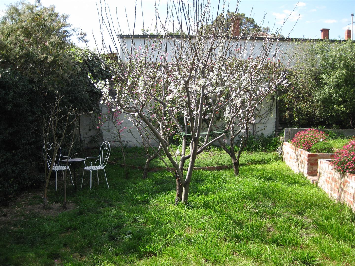 A small garden with a table and chairs.