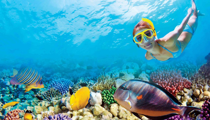 A woman snorkels over Isla Mujeres' corals and fish.