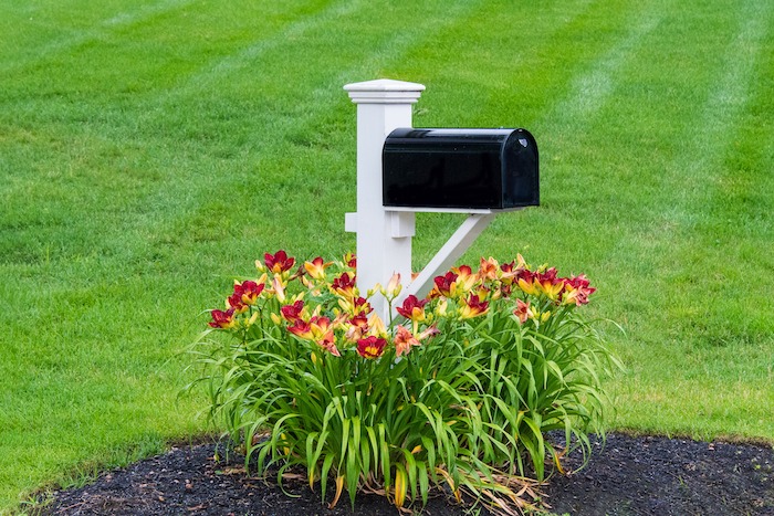 A mailbox located in a front yard garden.