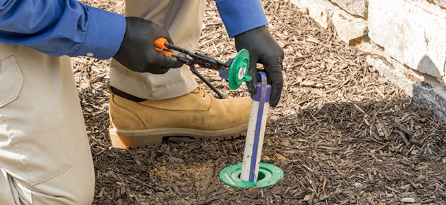 A man is using a tool for Termite Treatment in the ground.