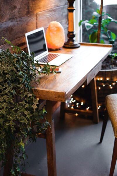 A eco-friendly desk decorated with a plant.