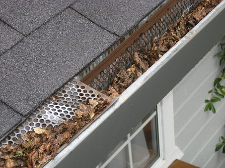 A gutter with leaves on it.