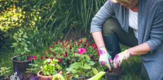 Health Benefits of Gardening