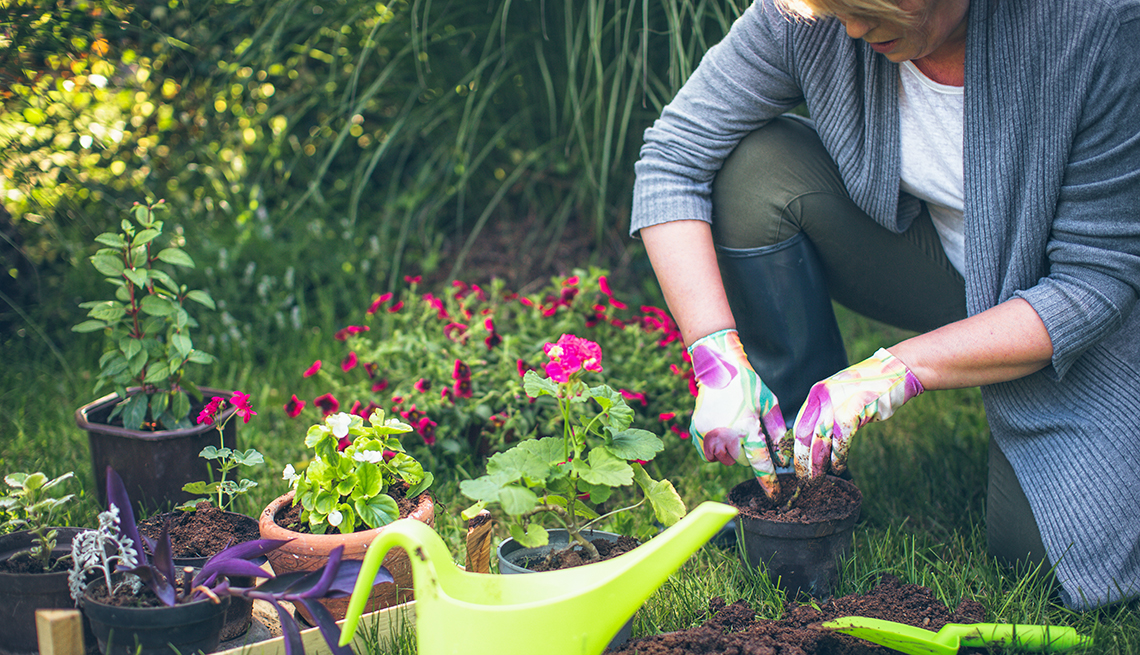 A woman is gardening to experience the health benefits of planting flowers.