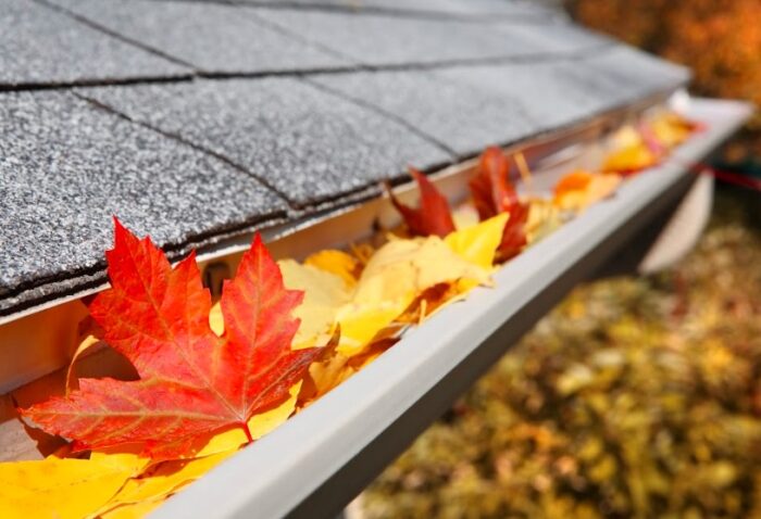 Fall leaf maintenance on a home's roof.