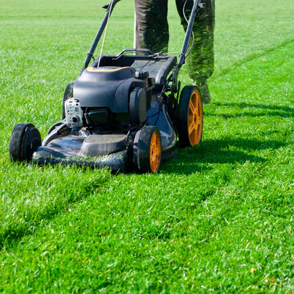 A man is performing lawn maintenance with a mower.