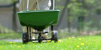 What Fertilizers Are Best For Your Lawn