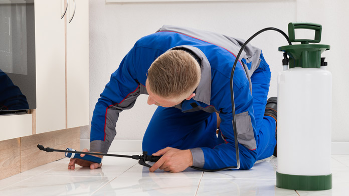 Eight Benefits of hiring a professional pest control service
