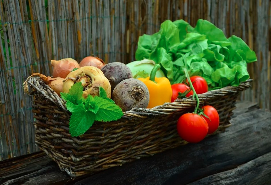 Fresh vegetables harvested by a home gardener in a wicker basket on a wooden table.