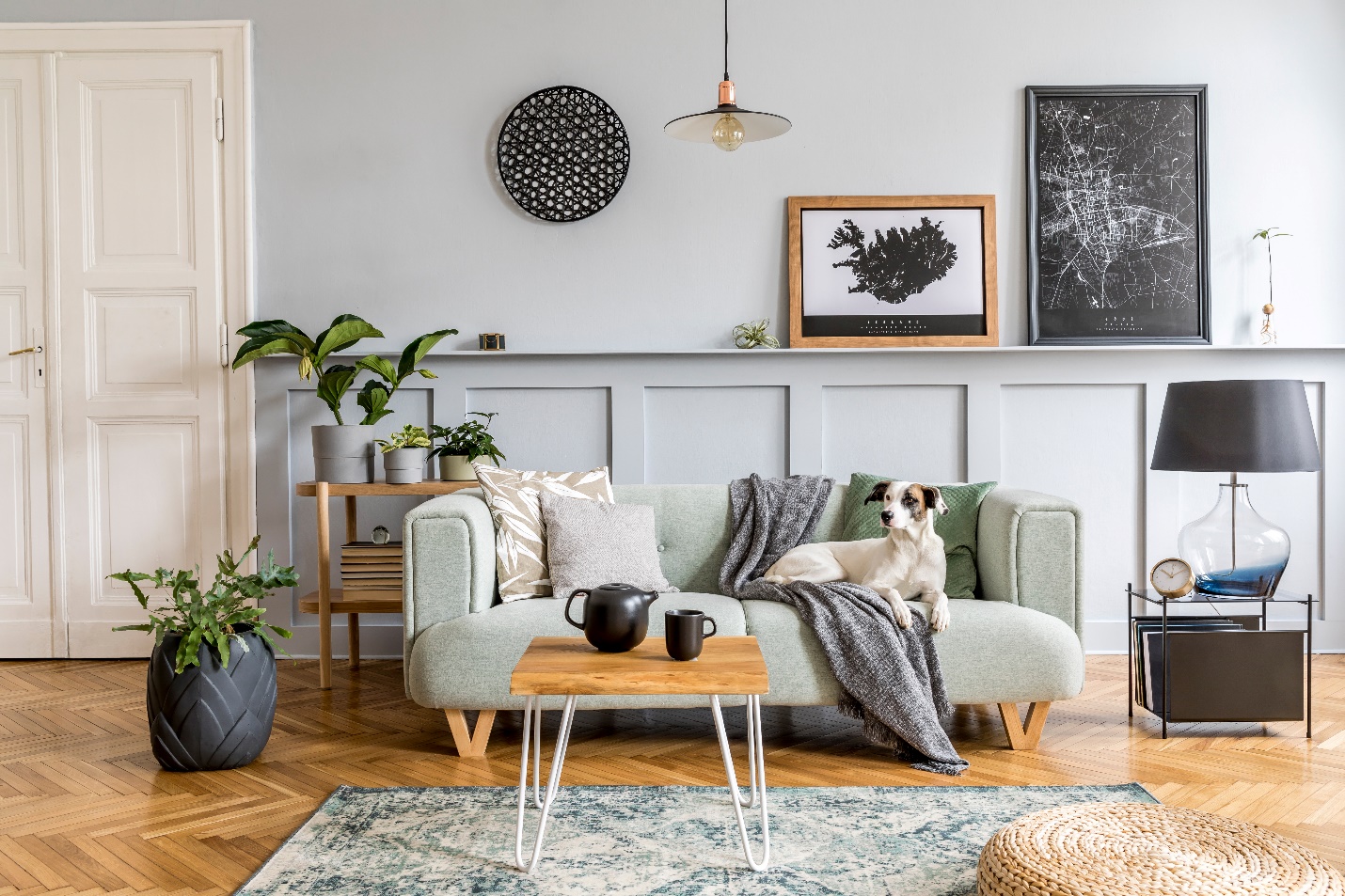 A living room with a grey couch and a dog that is inviting.