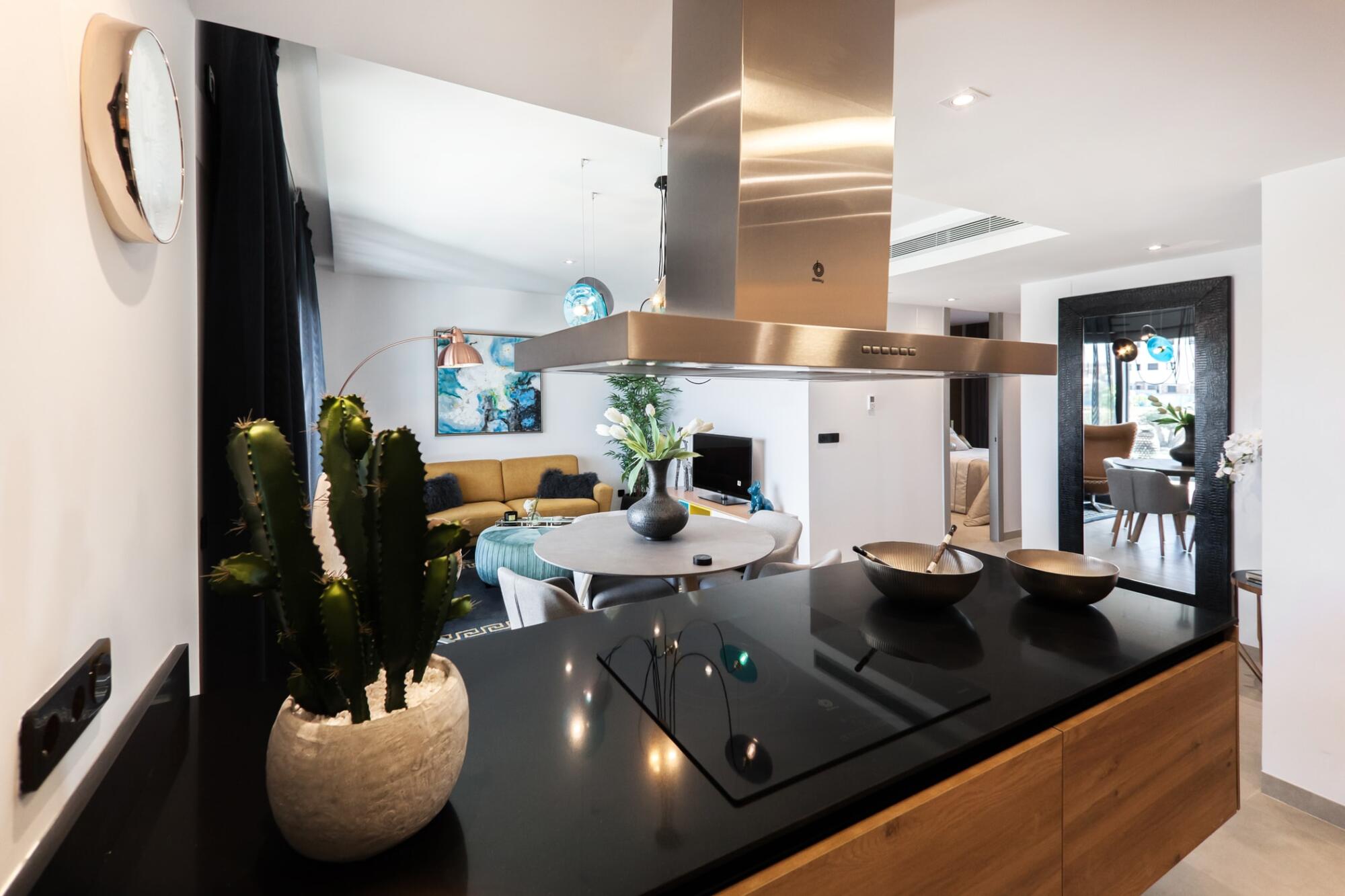 A black kitchen with a cactus on the counter, renovation