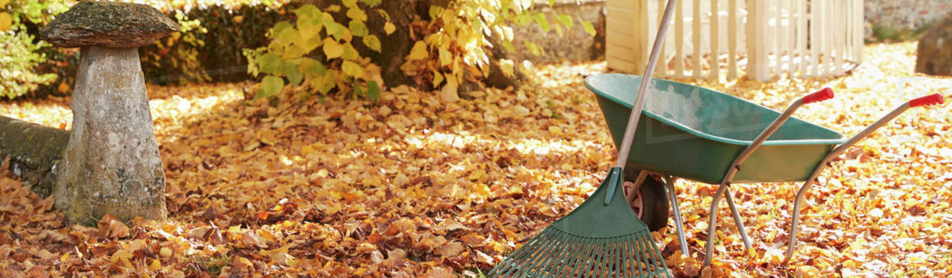 A green wheelbarrow is sitting on a pile of leaves in a winter garden.