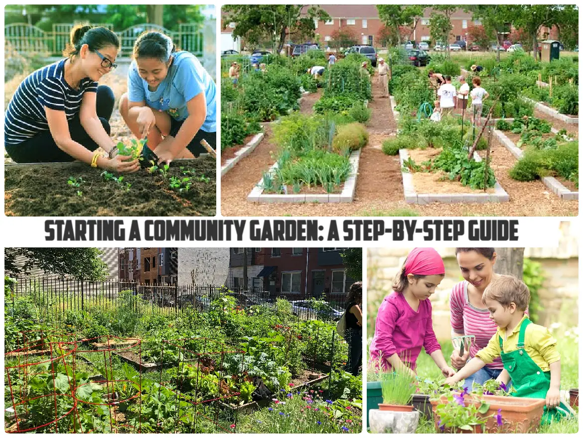 Starting a Community Garden: A Step-By-Step Guide