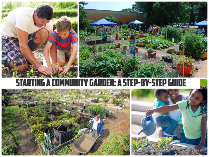Step-by-step guide for starting a community garden.