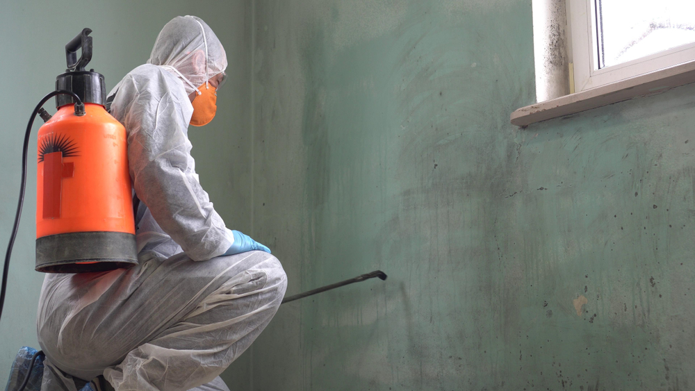 A Mold Remediation Expert in a protective suit spraying a wall.