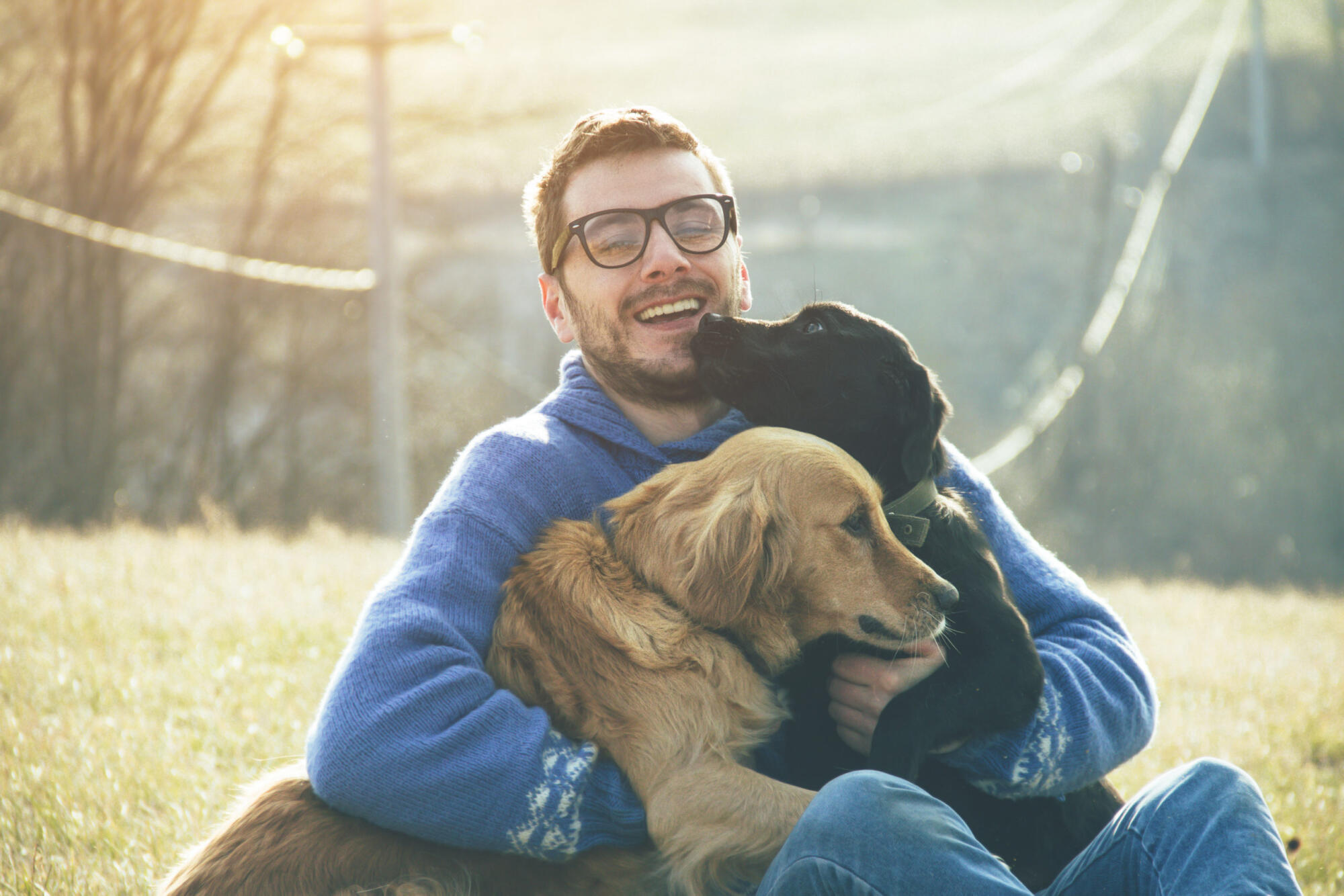 A man with his dogs in a field is concerned about fleas and ticks.