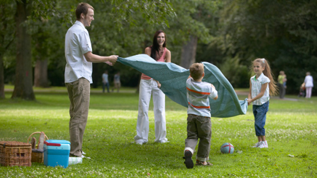 A family enjoying activities in the park with a picnic blanket.