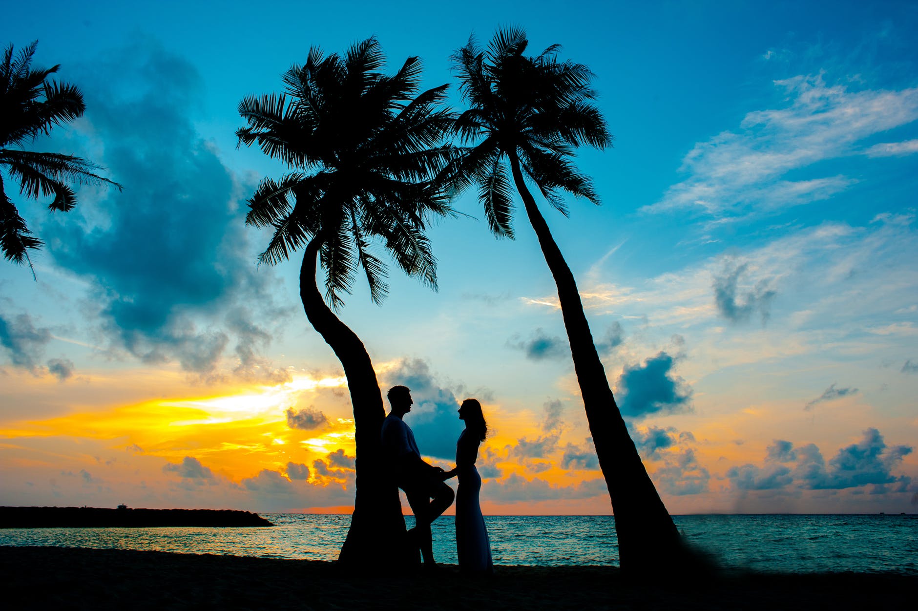Romantic beach with palm trees.