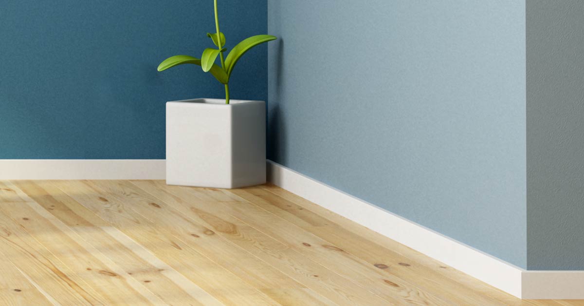 A room with blue walls and a plant in a vase, beginner's skirting board guide.