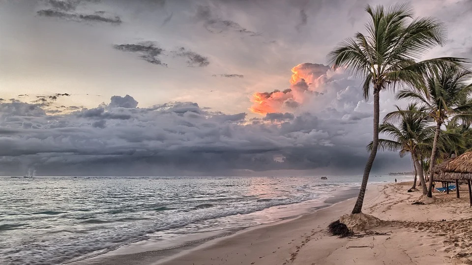 A beach with palm trees and a cloudy sky, perfect for vacation spots.