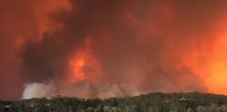 protect yourself during a bushfire
