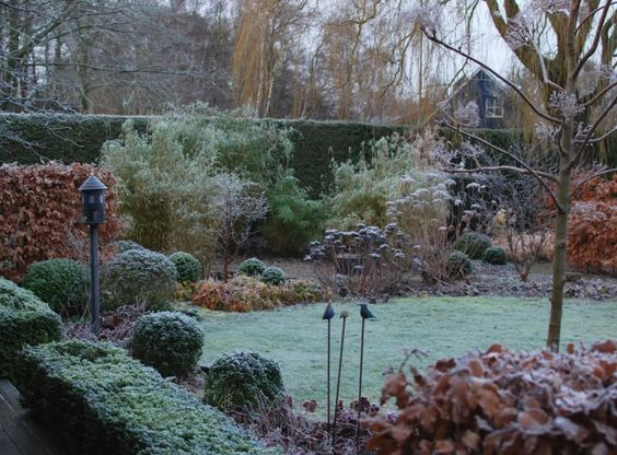 A garden with frost covered shrubs and trees during the fall.