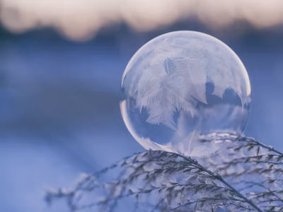 A bubble adorning a snow-covered plant.