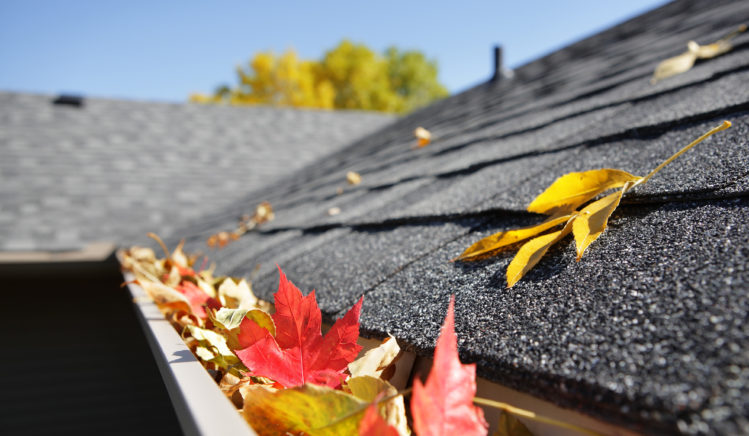 Fall leaves on the roof of a house in need of gutter cleaning.
