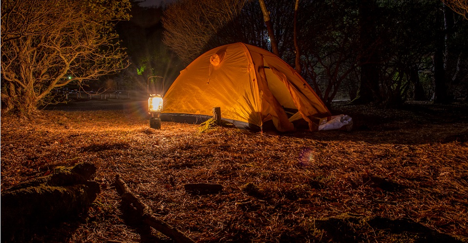 A lantern-lit tent nestled in the woods.