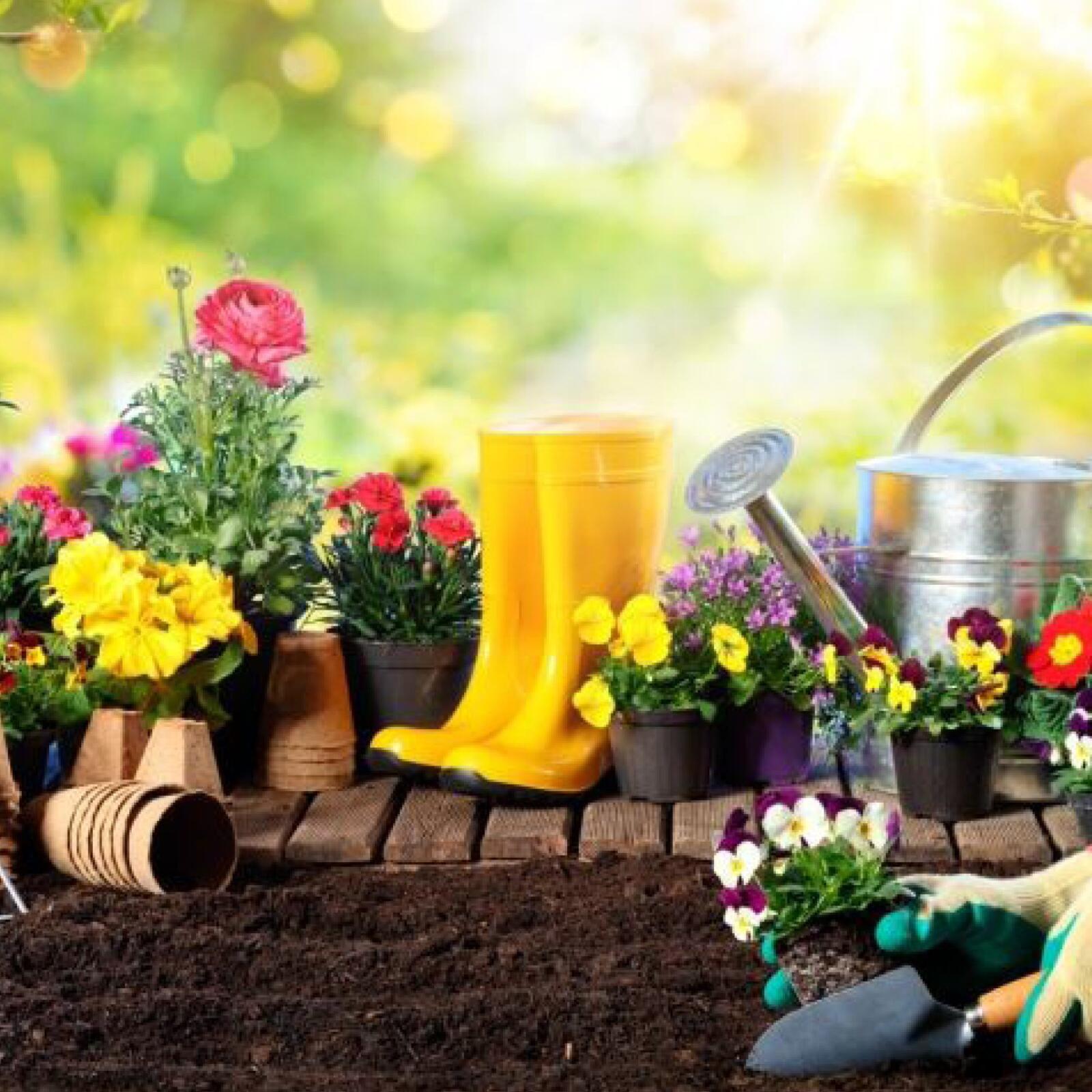 A group of gardening tools and flowers.