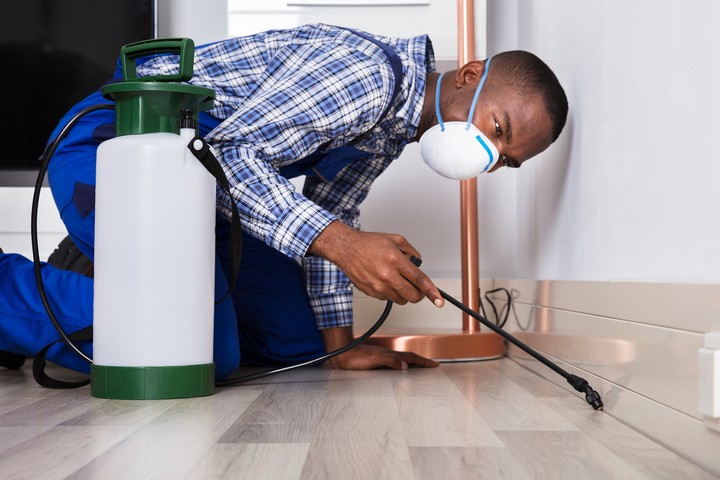 When Do You Need Professional Pest Control in Your Bixby Home?