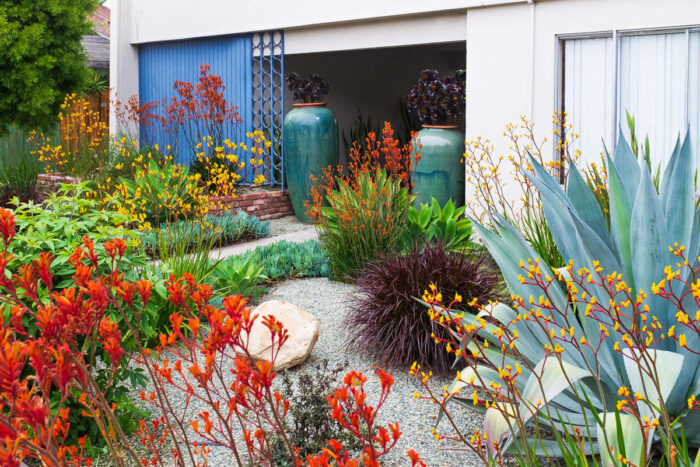 A low-maintenance garden with colorful plants in front of a house.