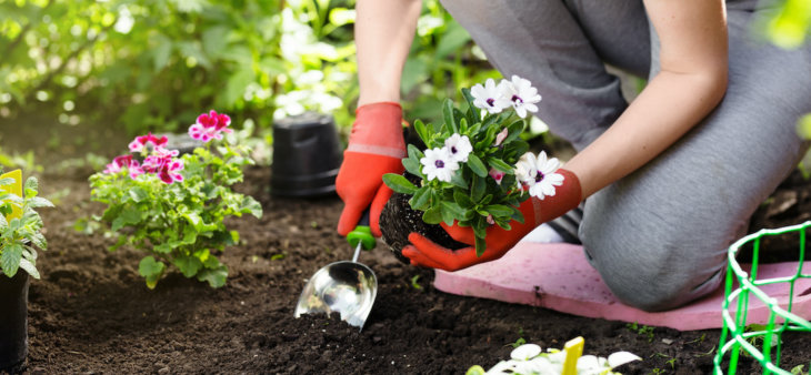 A woman is gardening in a garden.