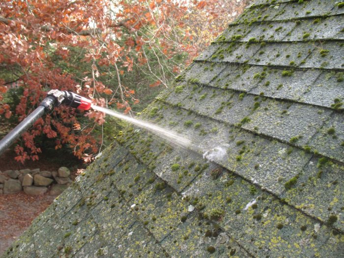 Pressure washing moss off a roof.
