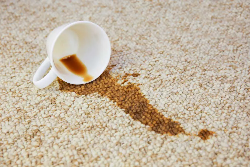 How to remove organic coffee stains from carpet?