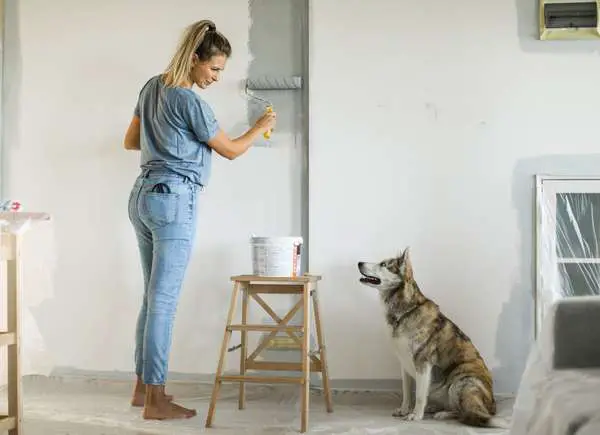 A woman painting a room with a husky.