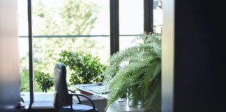 5 simple steps in making your office environmentally friendly