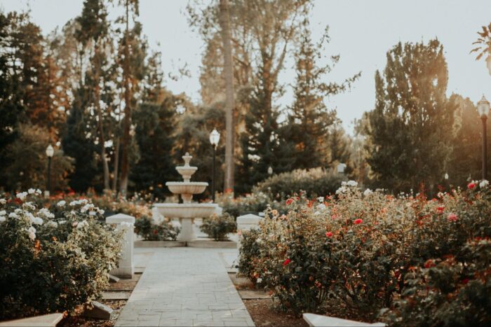 A rose garden with benches, a fountain, and adding a curb.