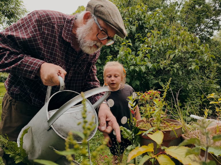 An older man and a little girl gardening in a garden.