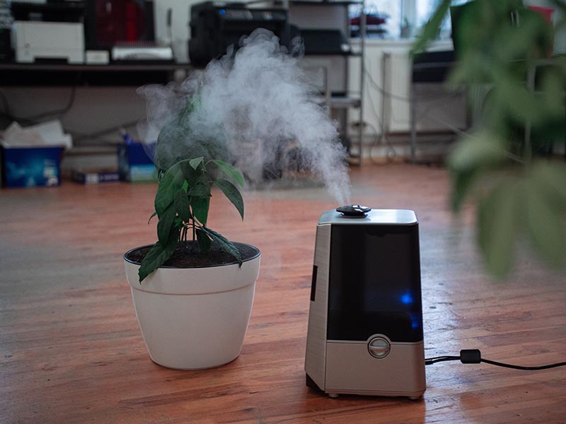 An ultrasonic humidifier that helps reduce indoor air pollution.